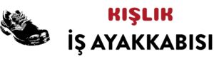 Ankara-Polatli-Sivri-Mahallesi S1 İş Ayakkabısı
